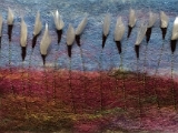 Cotton Grass.jpg